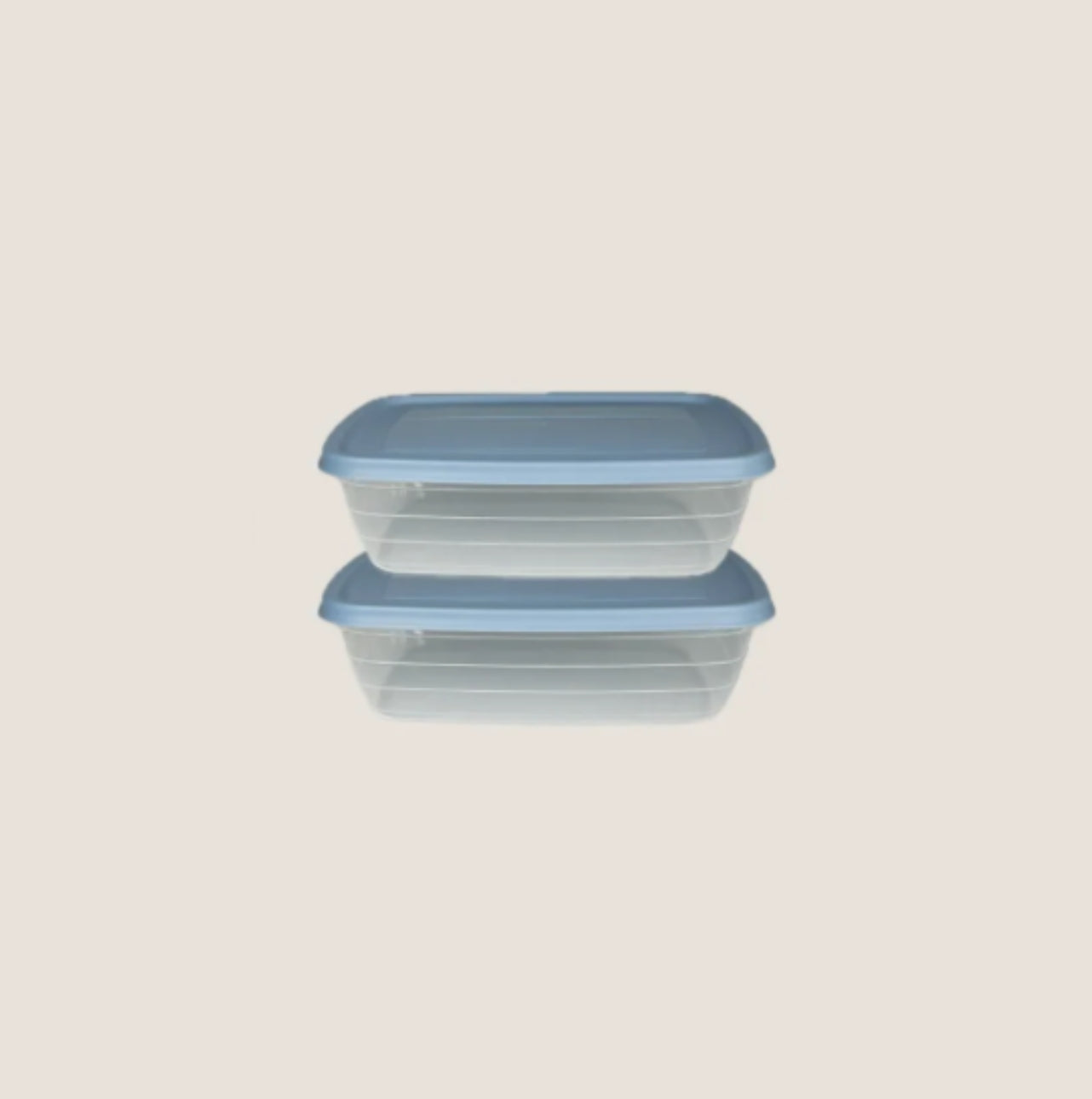 Plastic Container (2 pack)