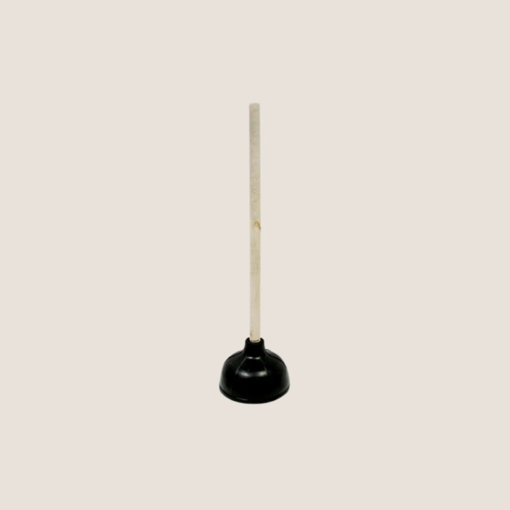 Toilet Plunger